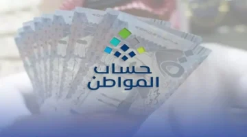 كشف حساب المواطن.. أخطاء تمنع قبول دعم السعوديين الشائعة